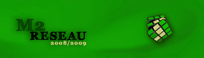 Master Réseau 2008/2009